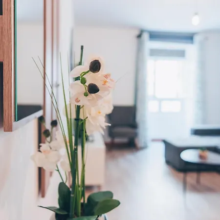 公寓 Atlantic #01 丰沙尔